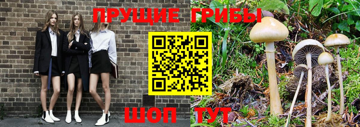Галлюциногенные грибы Psilocybine cubensis  Вход с VPN  Жигулёвск 